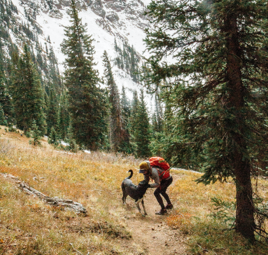 Discover the preparation tips, gear, and skills you and your dog need for your daily adventures. Get out and explore.