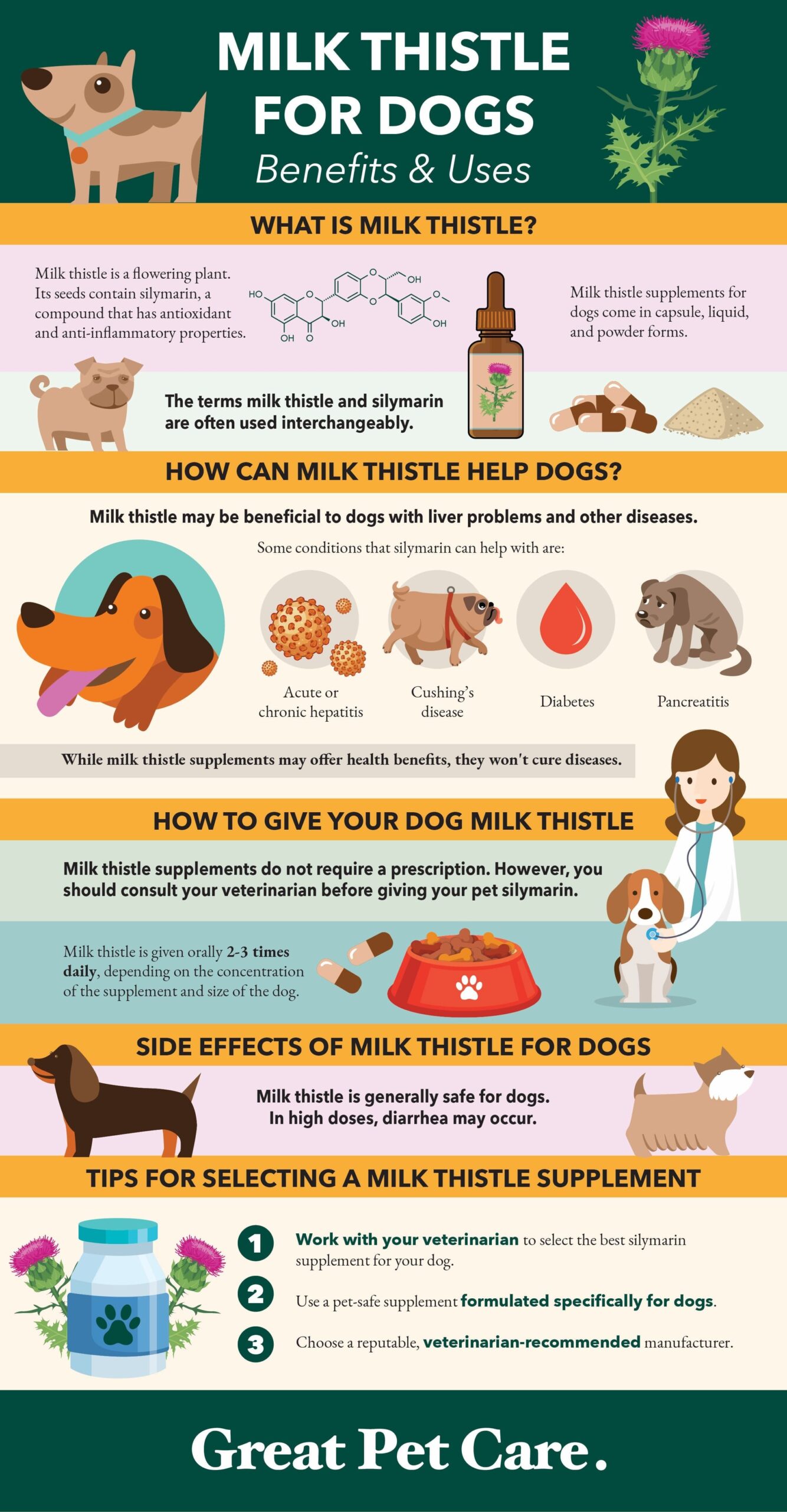 Milk Thistle for Dogs: Benefits and 