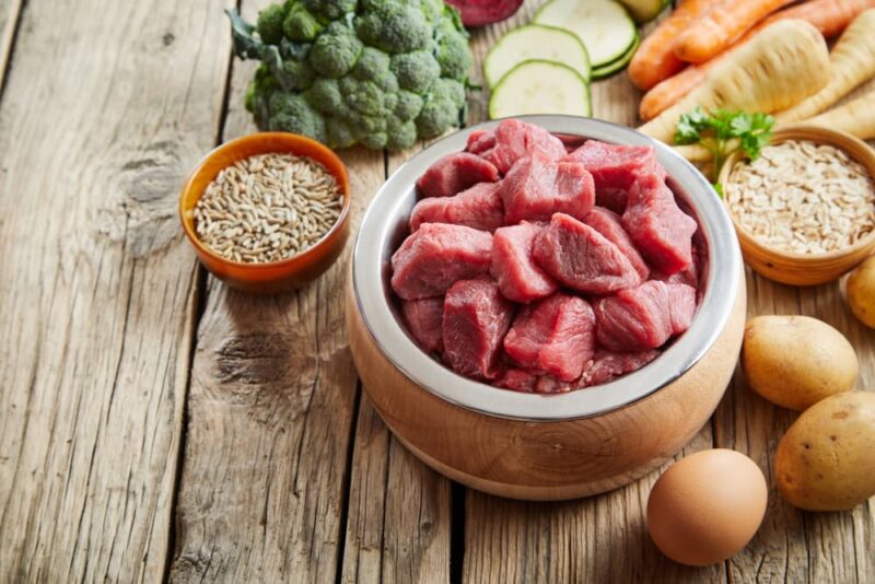 Protein for Dogs Everything You Need to Know Great Pet Care