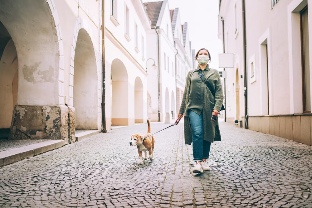 COVID-19: Is Your Pet at Risk From the Coronavirus? COVID-19: Is Your Pet at Risk From the Coronavirus?