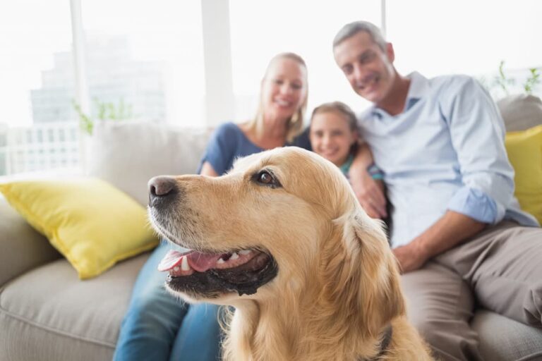 Family with Golden Retriever