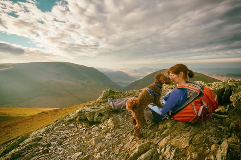dog and owner rest on top of mountain