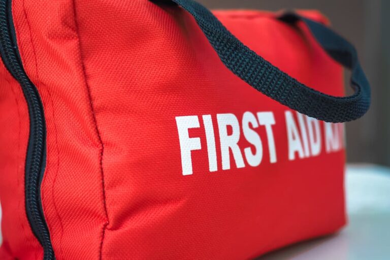 first aid kit for dogs