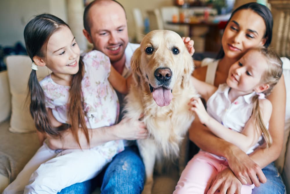 10 Questions about COVID-19 and Pets—Answered 10 Questions about COVID-19 and Pets—Answered