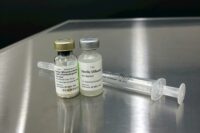 FVRCP Vaccine for Cats Great Pet Care