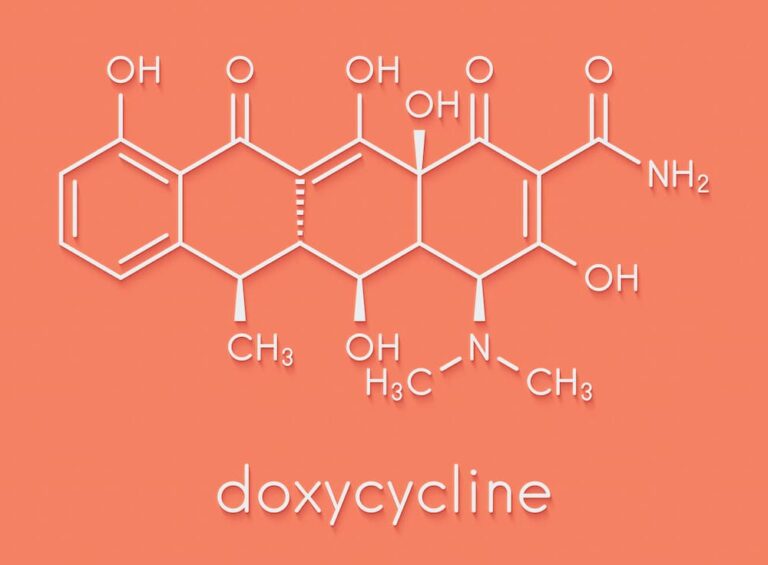 Doxycycline for Cats Great Pet Care
