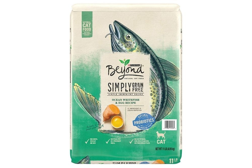 Purina Beyond cat food