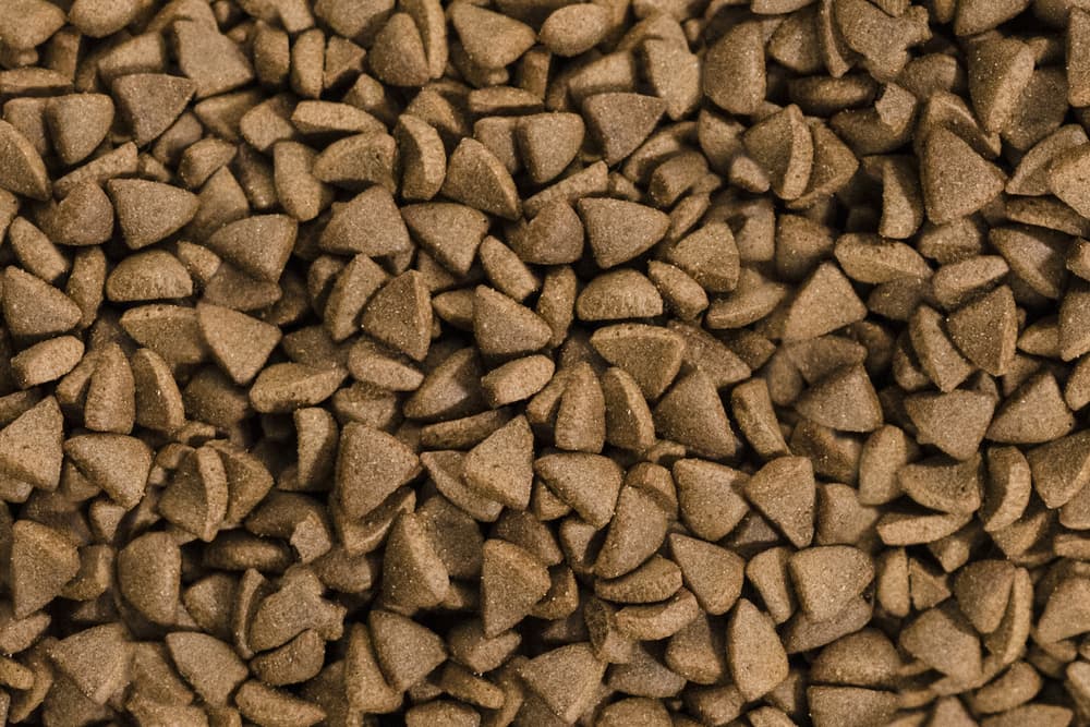 7 Mistakes to Avoid When Storing Dog Food Great Pet Care