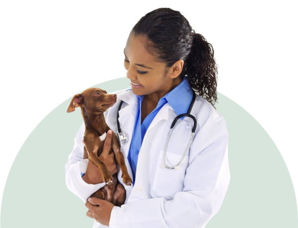 Veterinary research and content to help you connect with clients and power your practice.