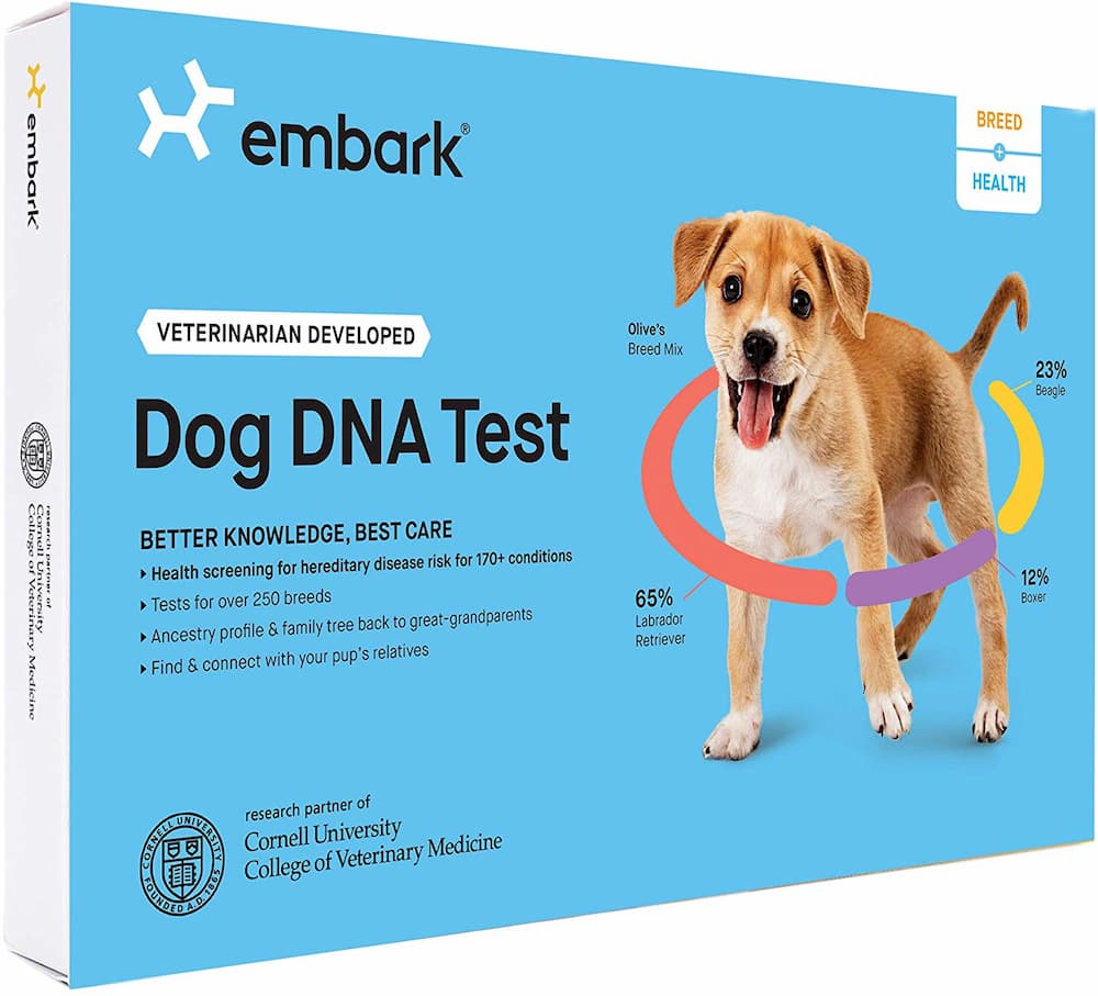Dog DNA Test Should You Try One? Great Pet Care