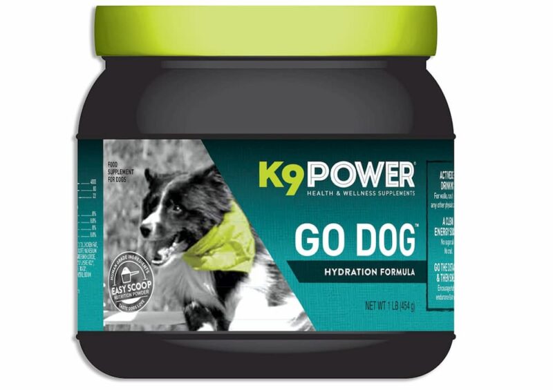 Can Dogs Drink Pedialyte? Great Pet Care