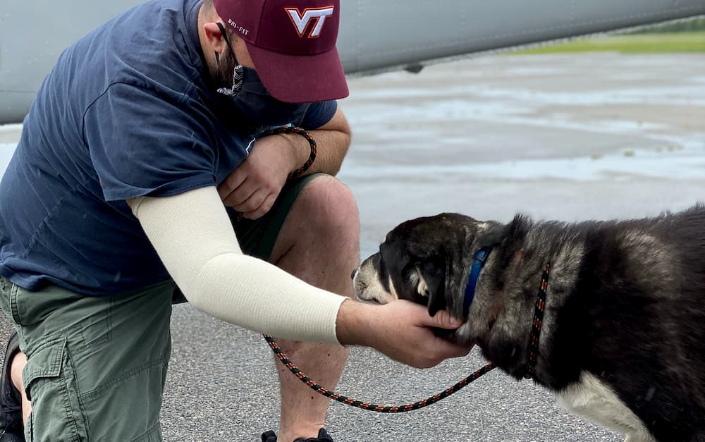 Iraq Rescue Mission Reunites U.S. Service Members With Beloved Pets Iraq Rescue Mission Reunites U.S. Service Members With Beloved Pets