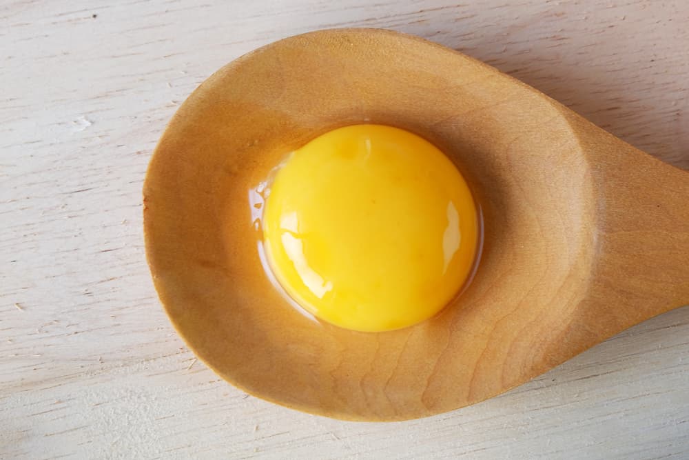 Can Dogs Eat Eggs? Info on Raw, Cooked, and Egg Shells Great Pet Care