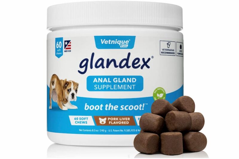 10 Great Sources of Fiber for Dogs Great Pet Care
