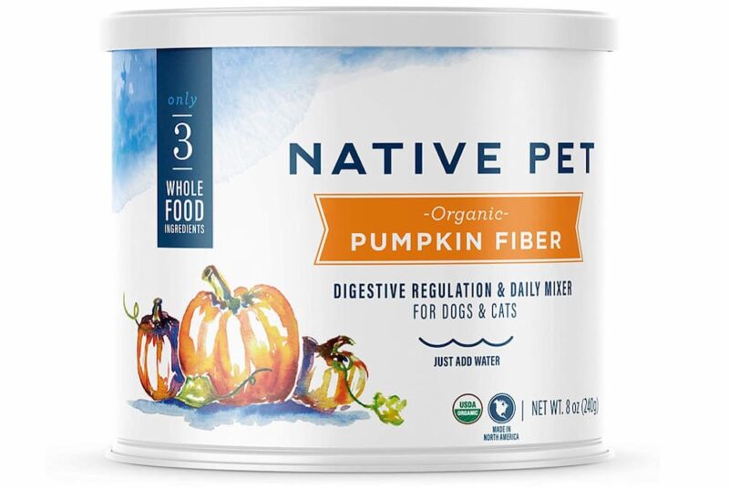 10 Great Sources of Fiber for Dogs Great Pet Care