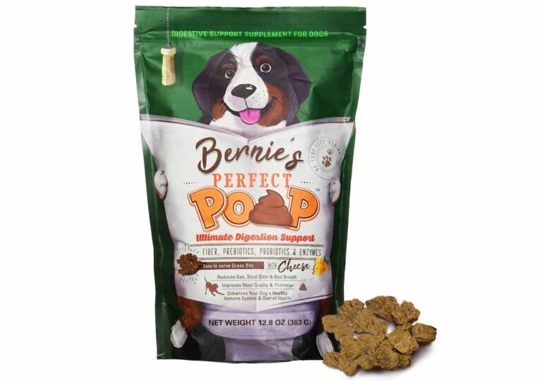 10 Great Sources of Fiber for Dogs Great Pet Care