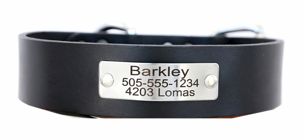 Leather collar with personalized name tag