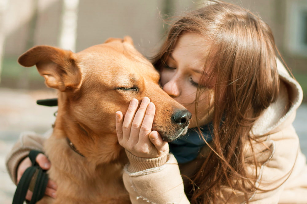 37 Red Dog Names Perfect for Ginger Pups 37 Red Dog Names Perfect for Ginger Pups
