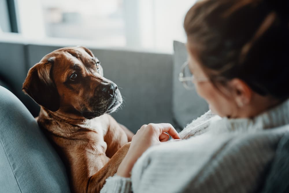 Woman looking at sick dog