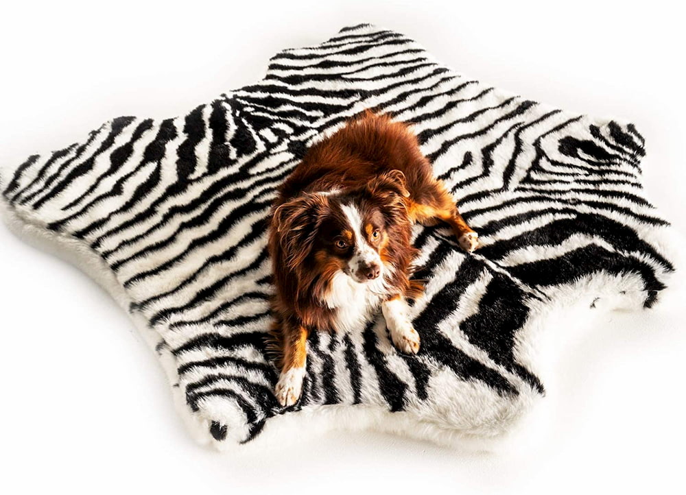 Zebra print luxury dog bed