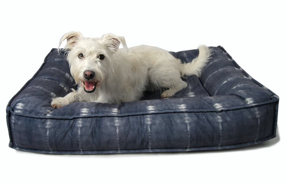Dog laying on dog bed