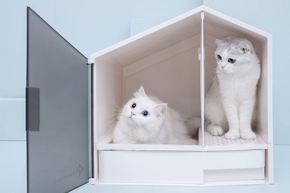 Two cats in a litter box house