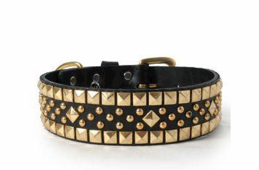 Black dog collar with gold studs