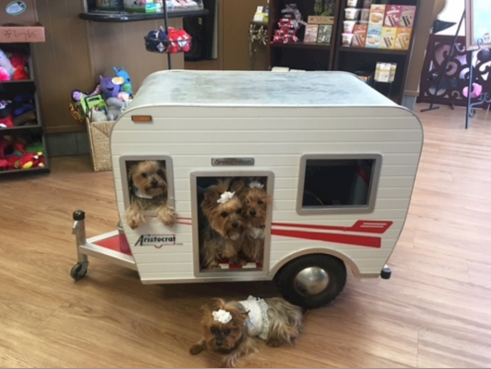 Camper van dog bed