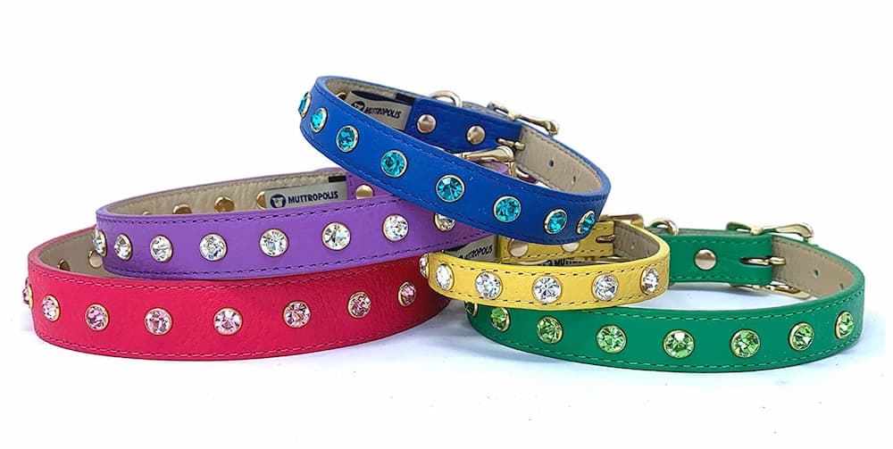 Muttropolis Cali crystal dog collar