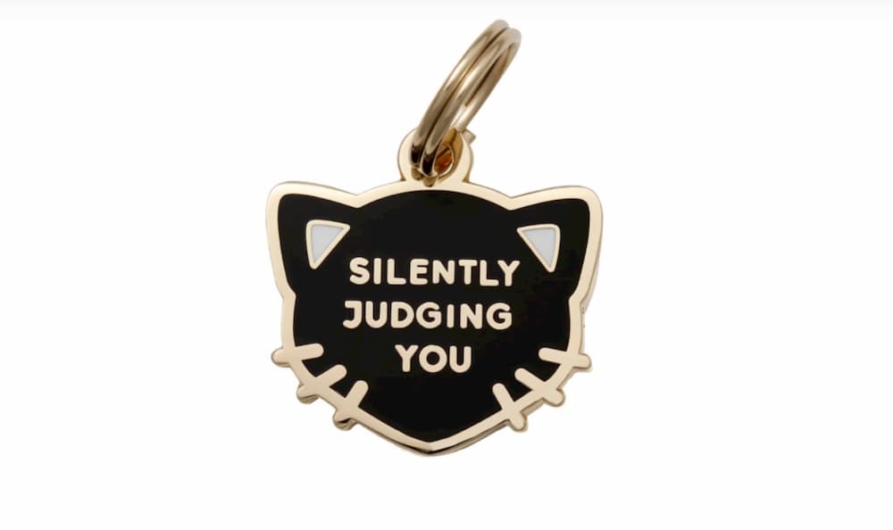 Silently Judging you cat tag