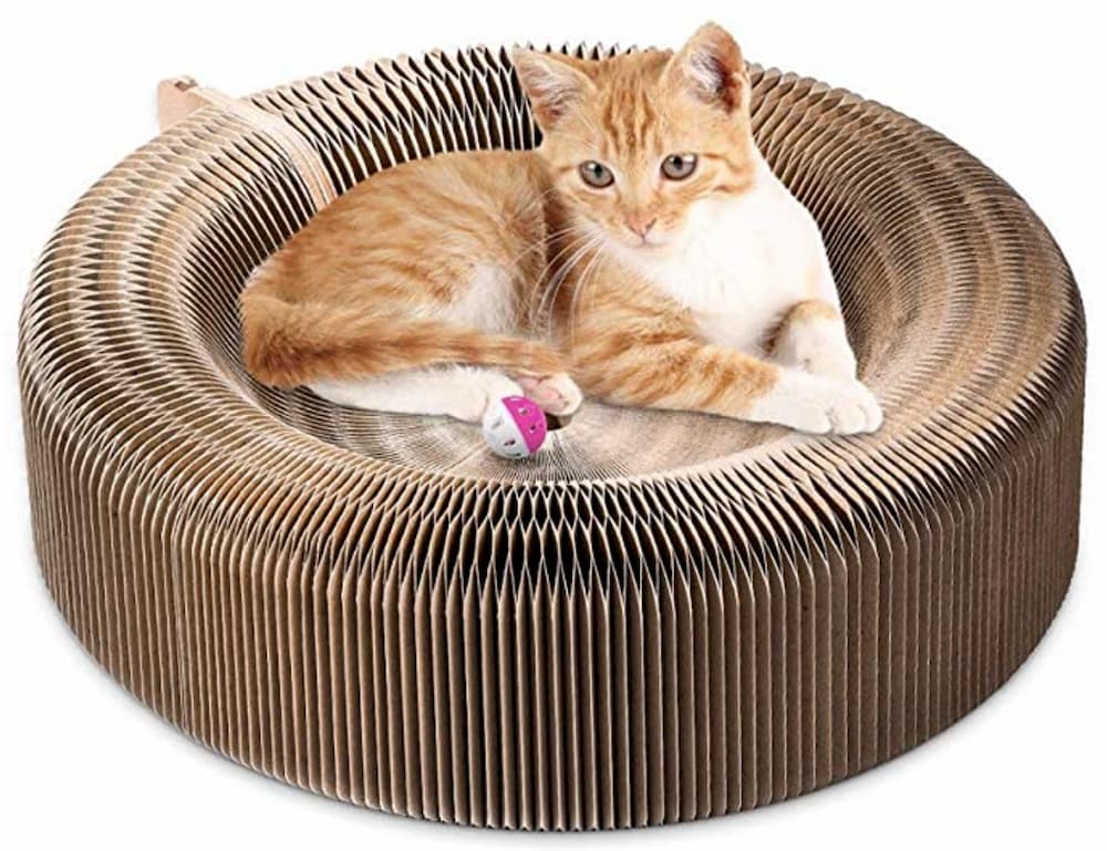 cat laying in cat scratcher