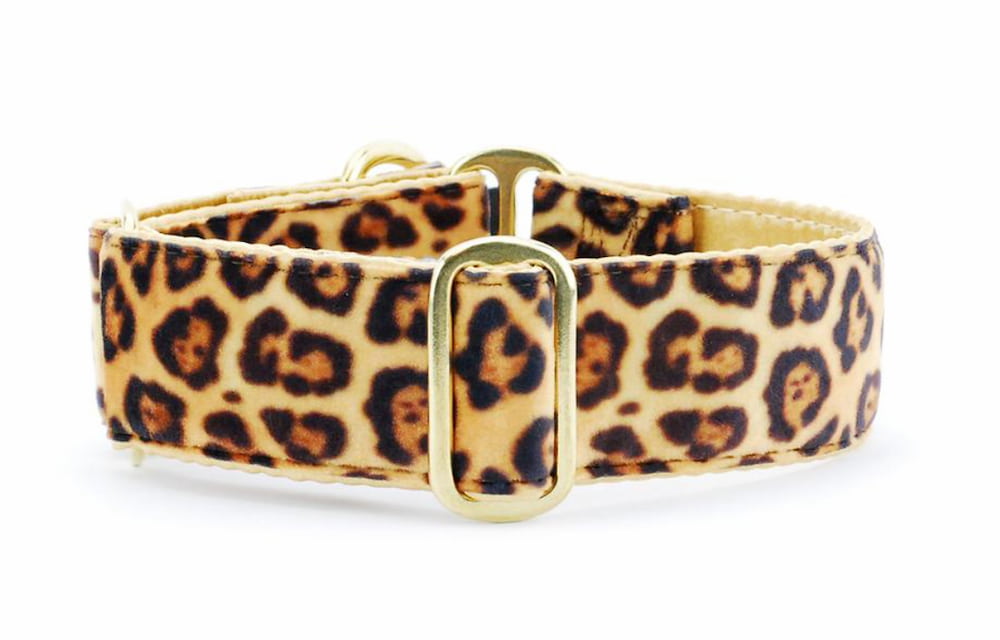 Cheetah dog collar