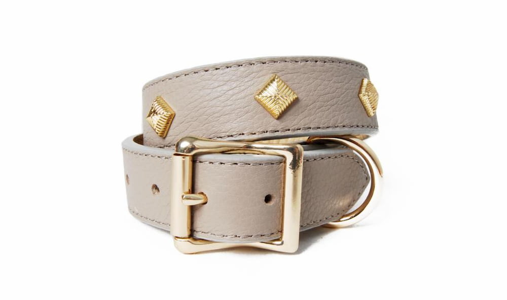 leather dog collar with gold studs