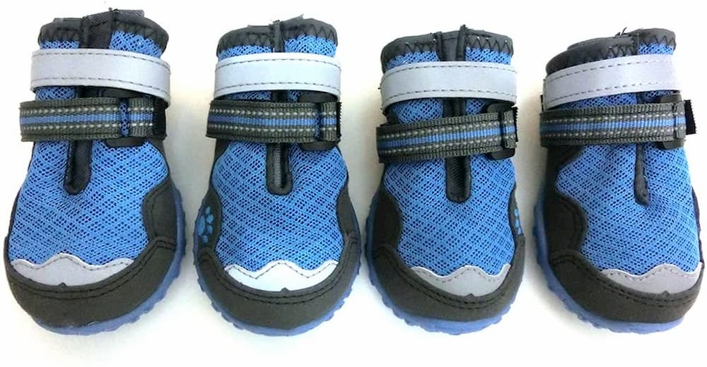 Lymenden dog boots