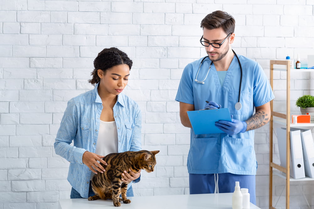 Woman with cat at vet