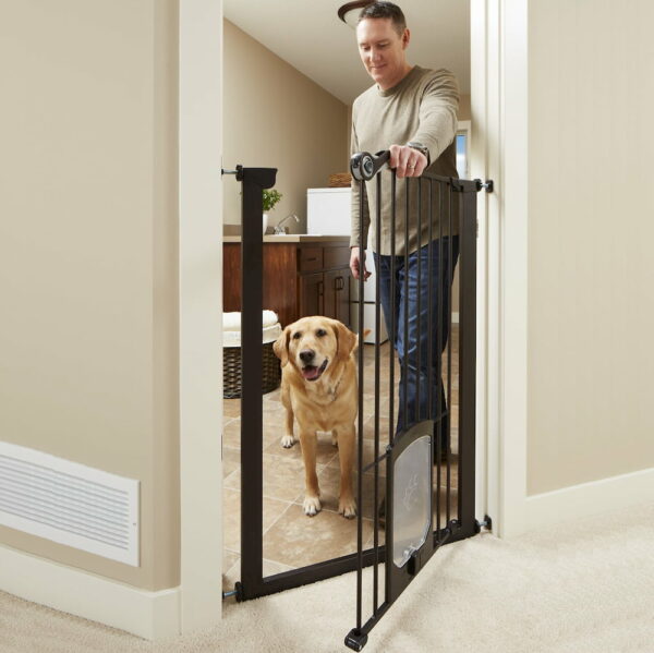 22 Best Dog Gate Options For Every Need Great Pet Care