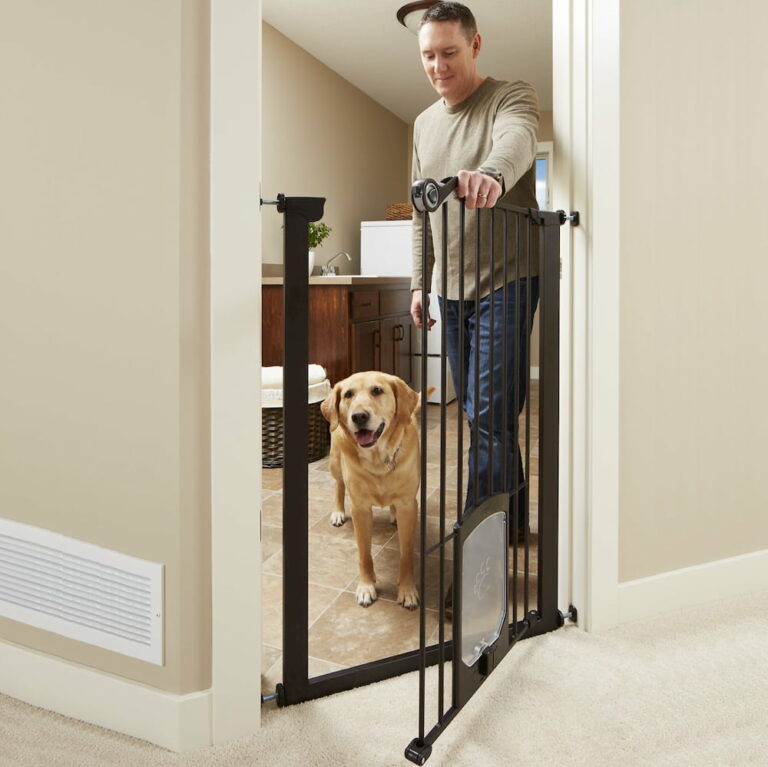 22 Best Dog Gate Options For Every Need Great Pet Care