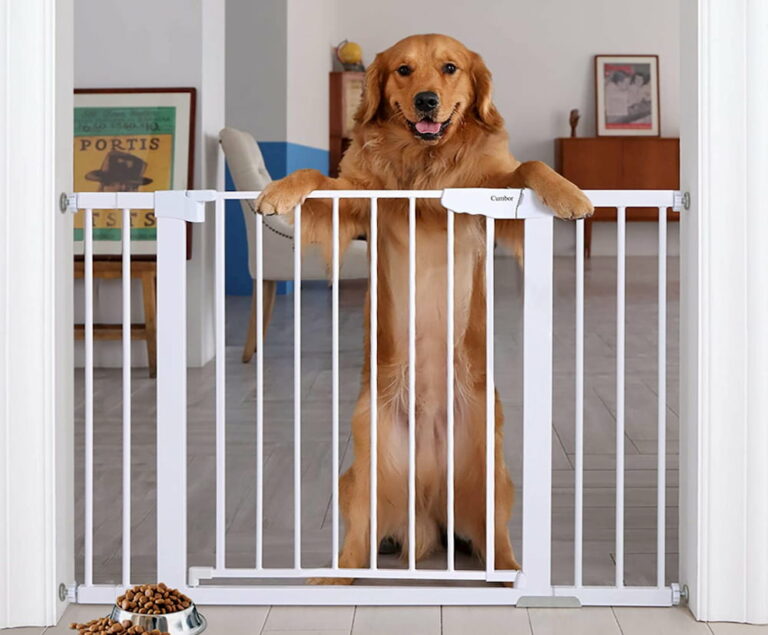 22 Best Dog Gate Options For Every Need Great Pet Care