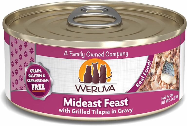 18 Best Wet Cat Food Formulas of 2021 Great Pet Care
