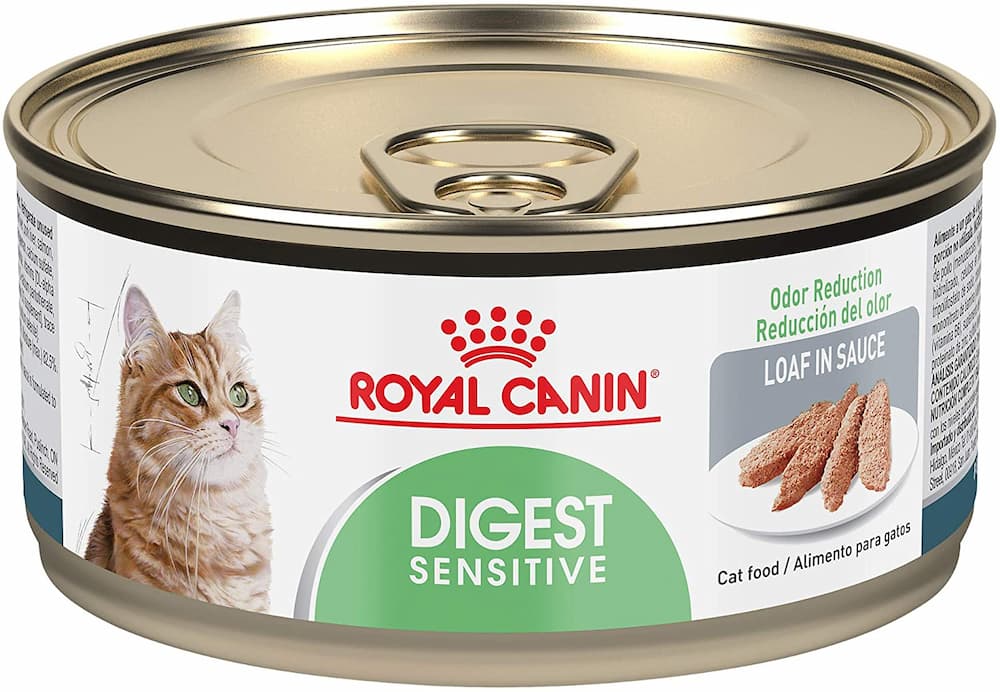 Royal Canin Wet Cat Food Healthy Digest