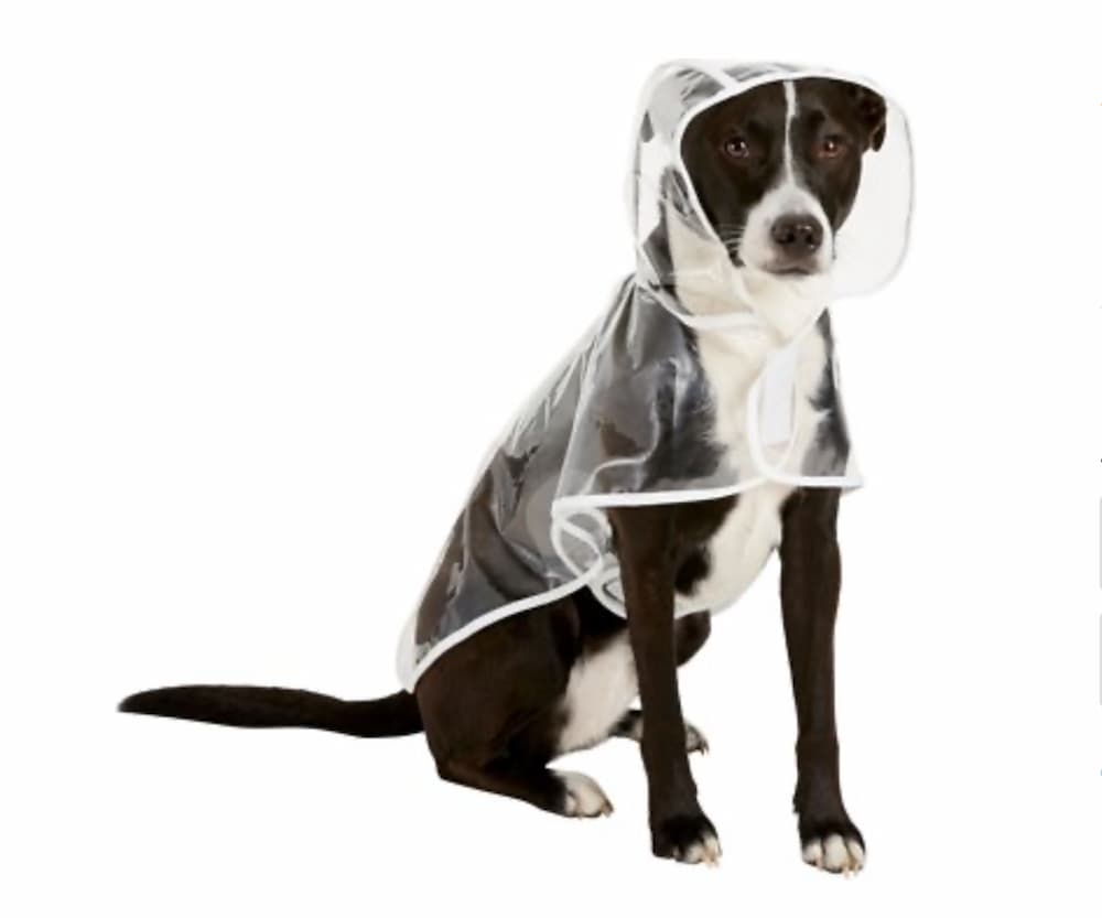 Frisco Vinyl Clear Dog Coat