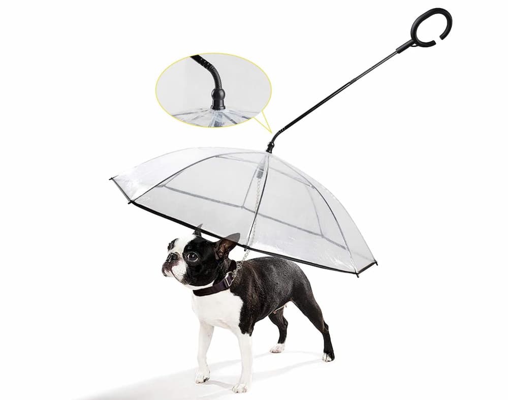 K&L C-Shape Dog Umbrella