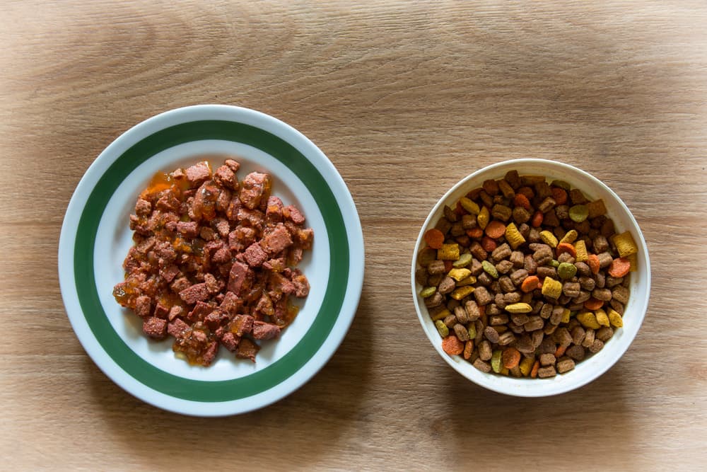 Wet cat food and dry cat food