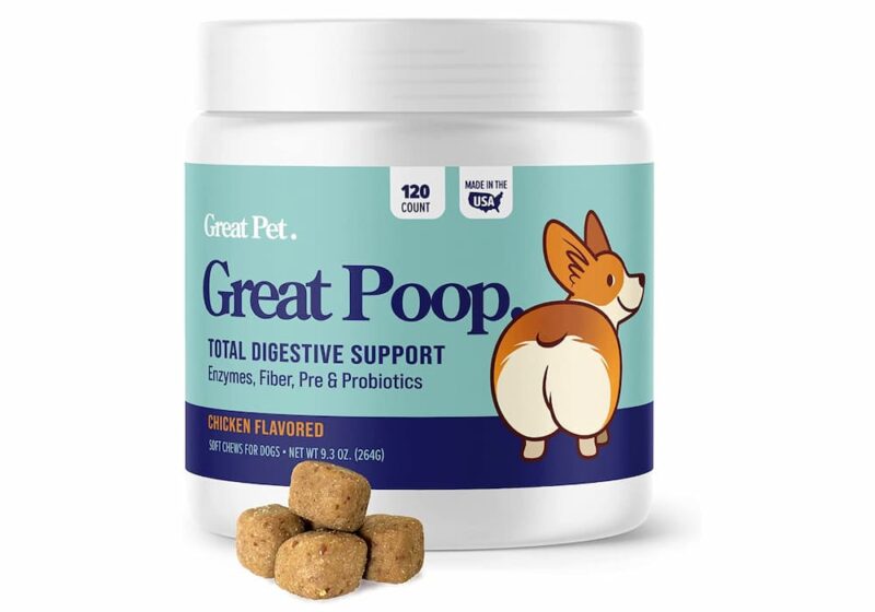 Best Pedialyte Flavor For Dogs Get More Anythink's