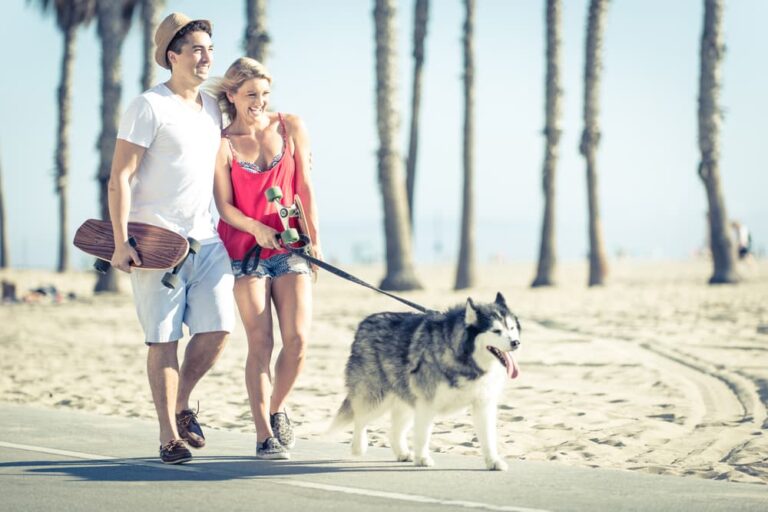 Couple walking dog in Los Angeles