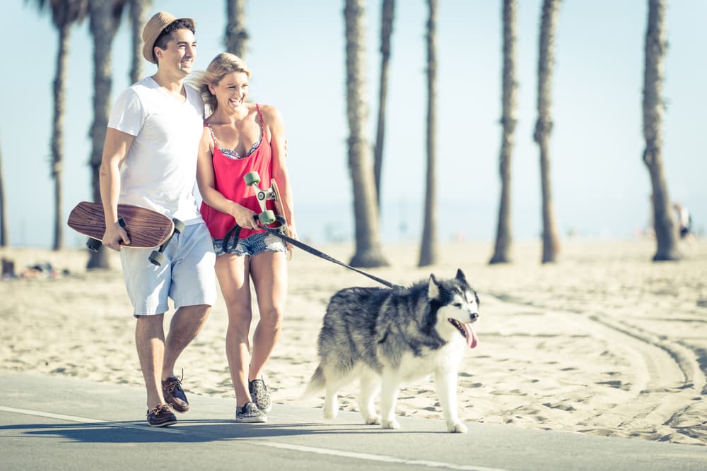 The Best Dog Parks in Los Angeles: The Definitive List The Best Dog Parks in Los Angeles: The Definitive List
