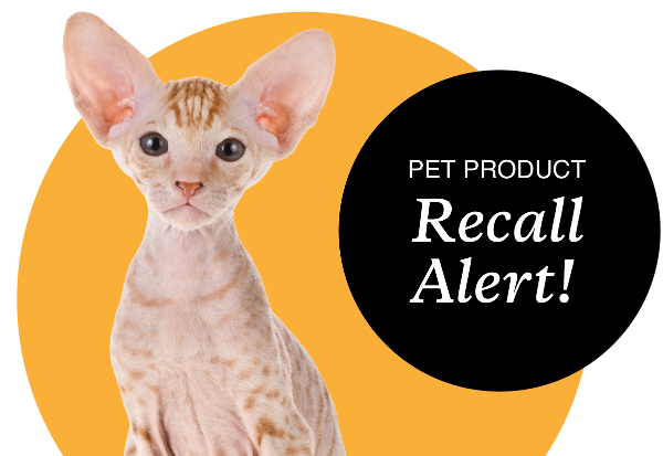 Stay up to date with pet-related recalls and alerts so you can help keep your dog or cat safe.