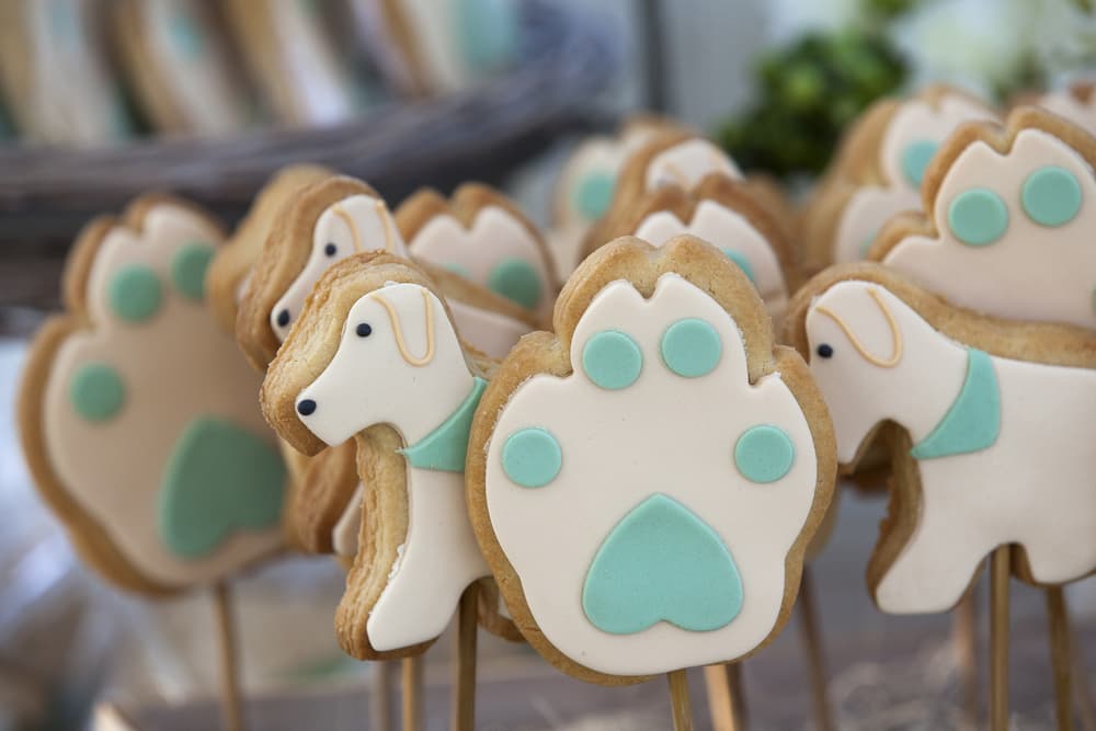 The Best of Philadelphia: Dog Bakery Edition The Best of Philadelphia: Dog Bakery Edition