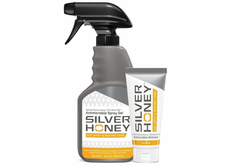 Neosporin for Dogs Is It Safe? Great Pet Care