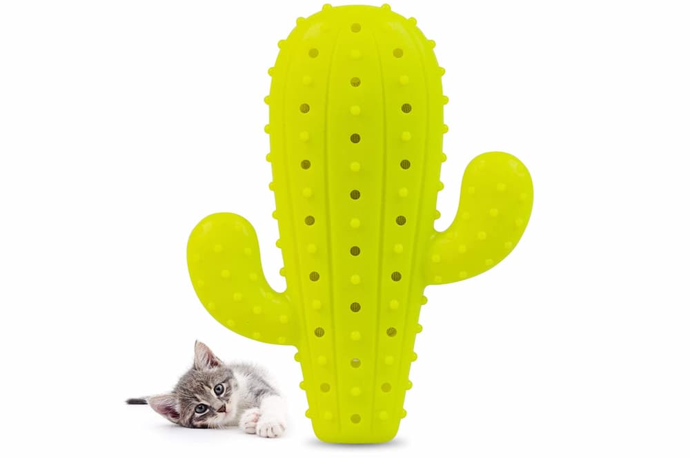 Pet Craft Supply Cactus Chew Toy